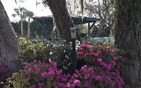 Steinhatchee River Inn And Marina